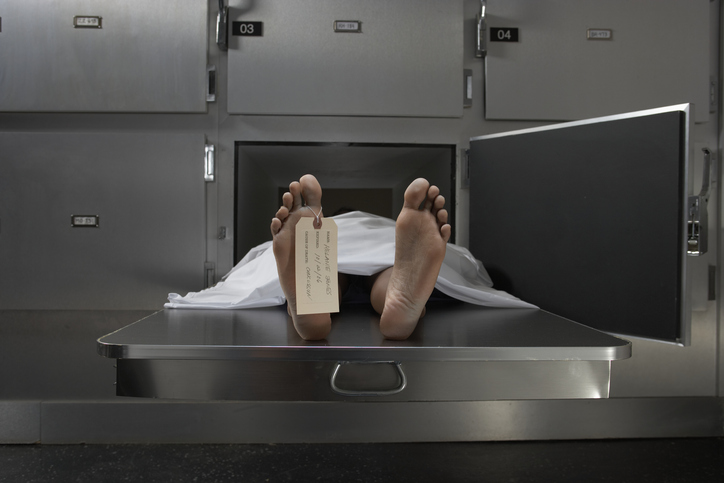 Florida DUI Deaths Are Down, but Drug Influenced Fatalities Rise